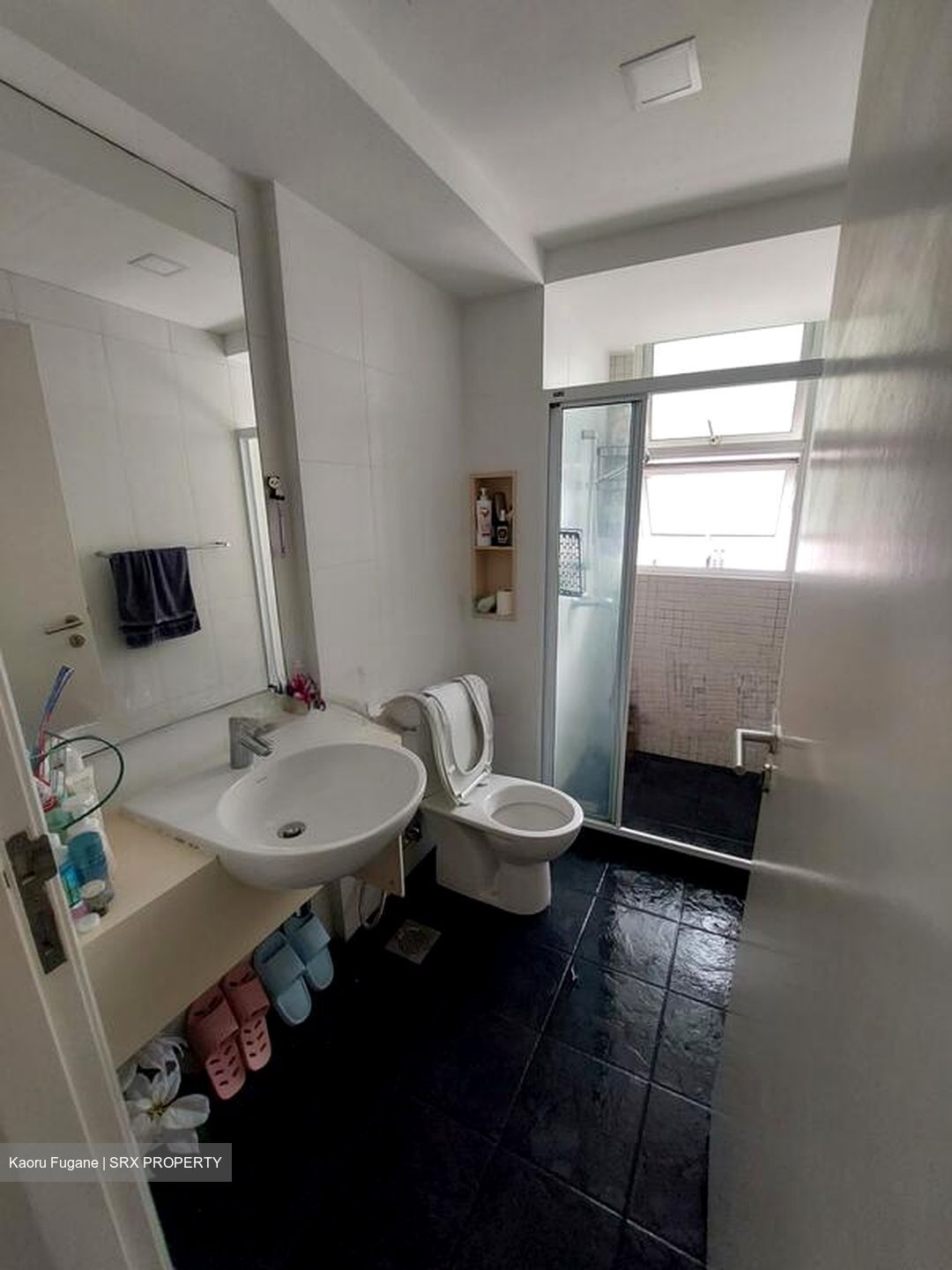 The Esparis (D18), Condominium #496297921